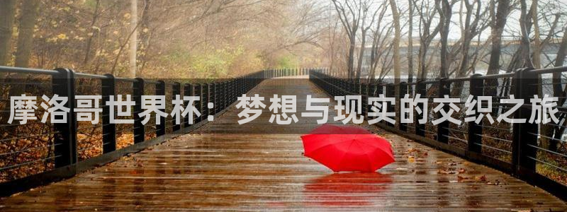 世界杯比赛直播:摩洛哥世界杯:梦想与现实的交织之旅