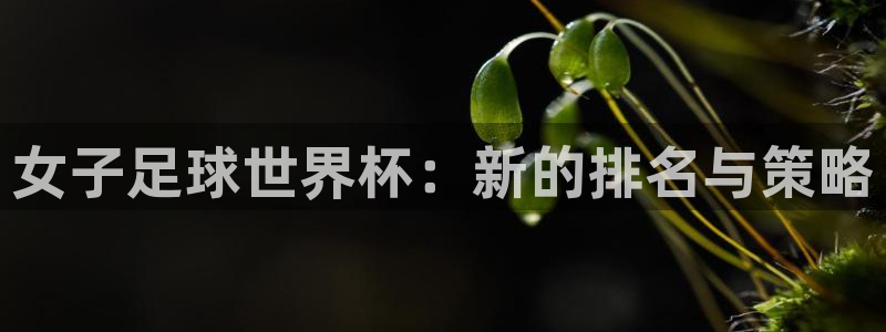 世界杯预选赛欧洲区赛程:女子足球世界杯:新的排名与策略