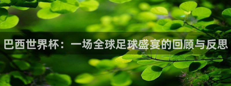 世界杯预选赛赛程时间表:巴西世界杯:一场全球足球盛宴的回顾与反思