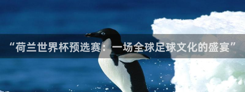 世界杯预选赛欧洲赛区积分榜:“荷兰世界杯预选赛:一场全球足球文化的盛宴”