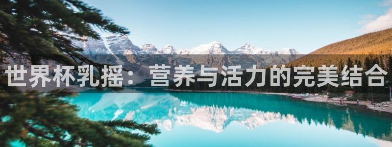 世界杯亚洲区预选赛赛程表:世界杯乳摇:营养与活力的完美结合
