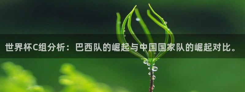 2026世界杯32强对阵图表:世界杯C组分析:巴西队的崛起与中国国家队的崛起对比。